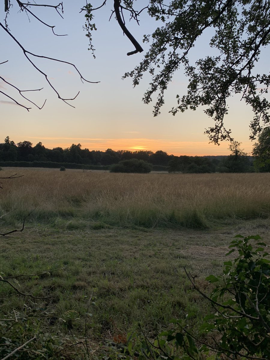 rachelj_bell's tweet photo. Sunsetting on @WiPUK #StepintoSummer23. Final few hours left to log those steps. 

We will see where we walked on our round the world adventure in the morning. Along with the winning teams. 
Great effort to all who entered. 
@StrideTreglown @burohappold #FulkersBaileyRussell https://t.co/AcF0WpYAtO
