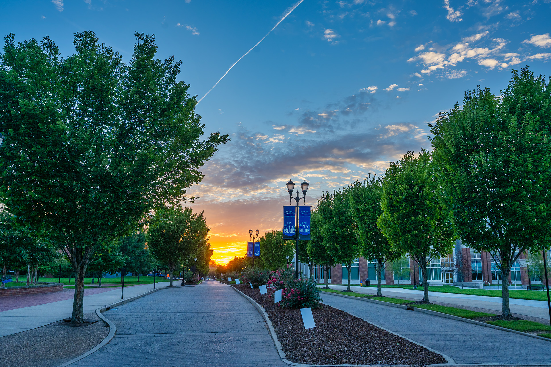 MTSU College of Graduate Studies on Twitter: "We are already halfway ...