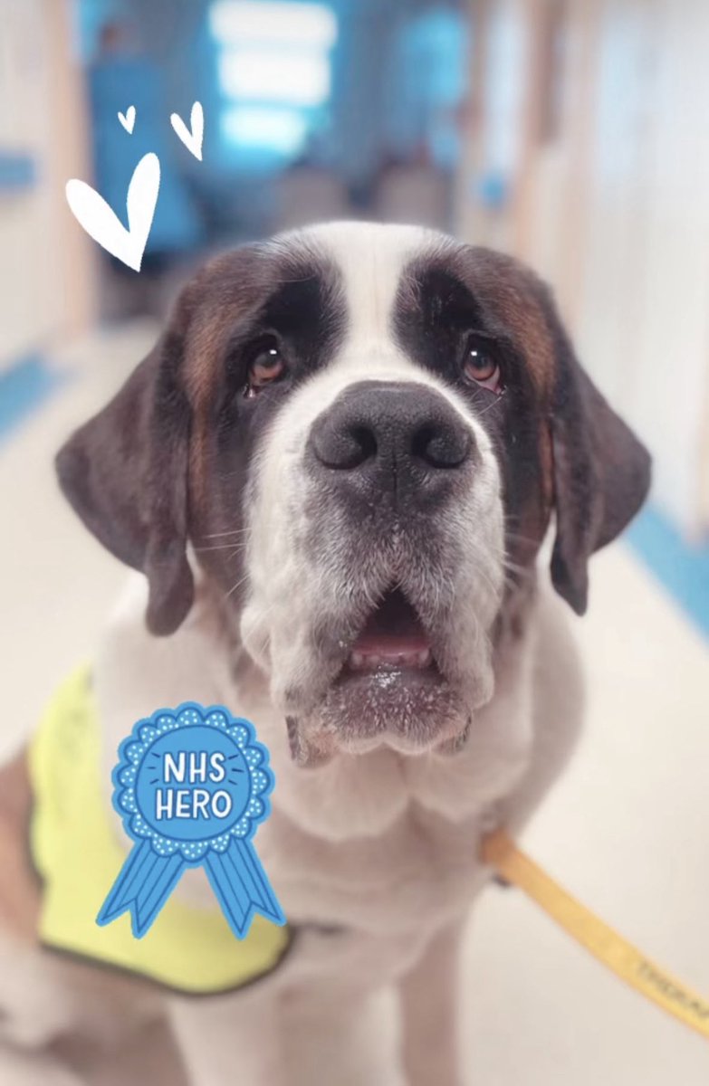 Laura Barker (Clarke) tweet media