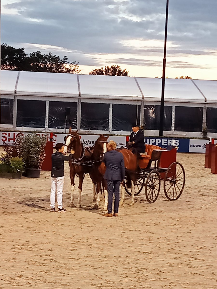 todeze's tweet image. Het aangespannen paard #csiOmmen