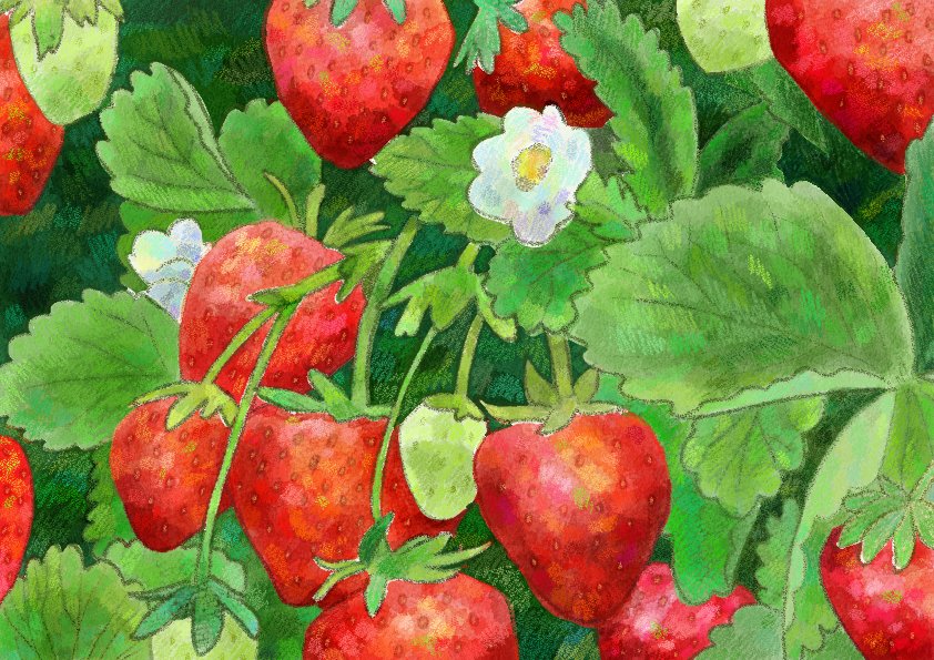 lennoxdraws's tweet photo. 🍓 https://t.co/LNIysdkXyp