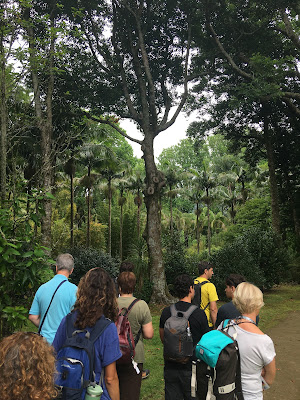 CEIP Plurilingüe de Maceda tweet media