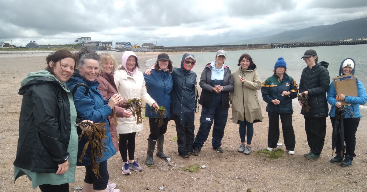 sea_synergy's tweet photo. Brilliant week training teachers at #SpaNationalSchool and on Fenit Beach as part of the #explorerseducationprogramme. We joined #FenitCoastConservation Group this afternoon to learn about dune restoration and get stuck into planting marram grass!
#keepexploring #forasnamara https://t.co/Mj8LKXYsq6
