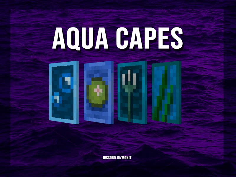 Motion Network tweet media