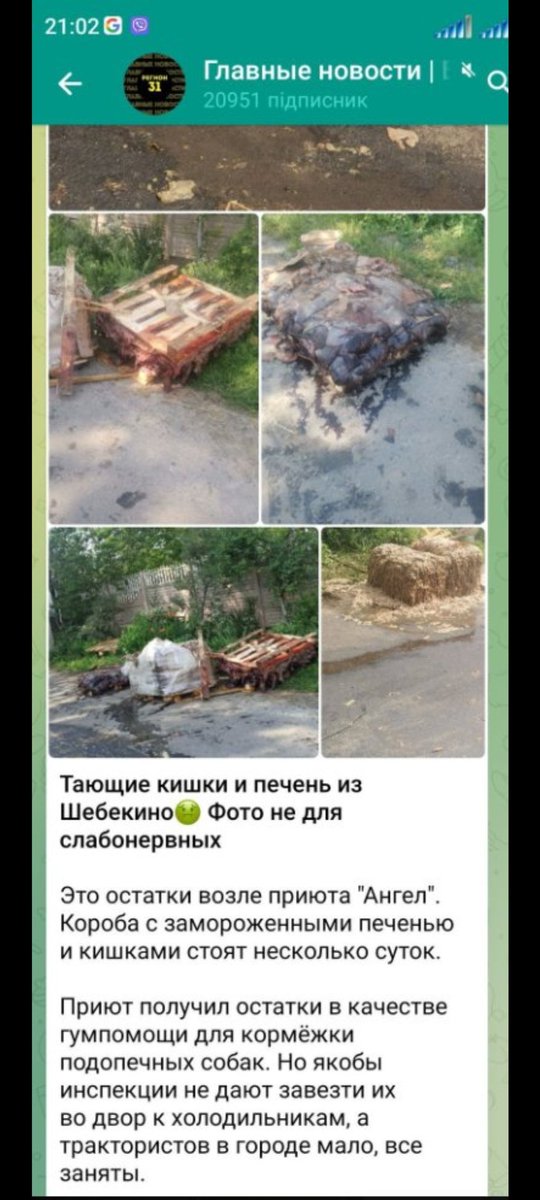 copok_vosem's tweet photo. @vestnikstabilno https://t.co/12LBg9QFfd