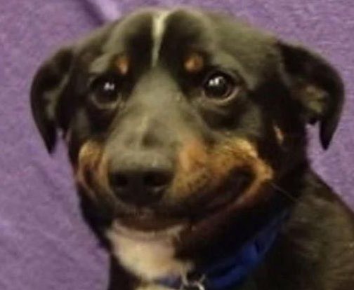 I forget that I have twitter I’m sorry