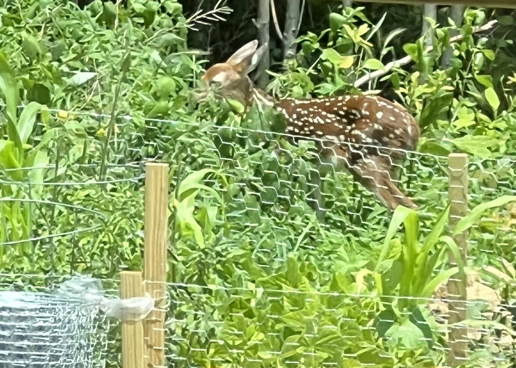 My friend is back with momma