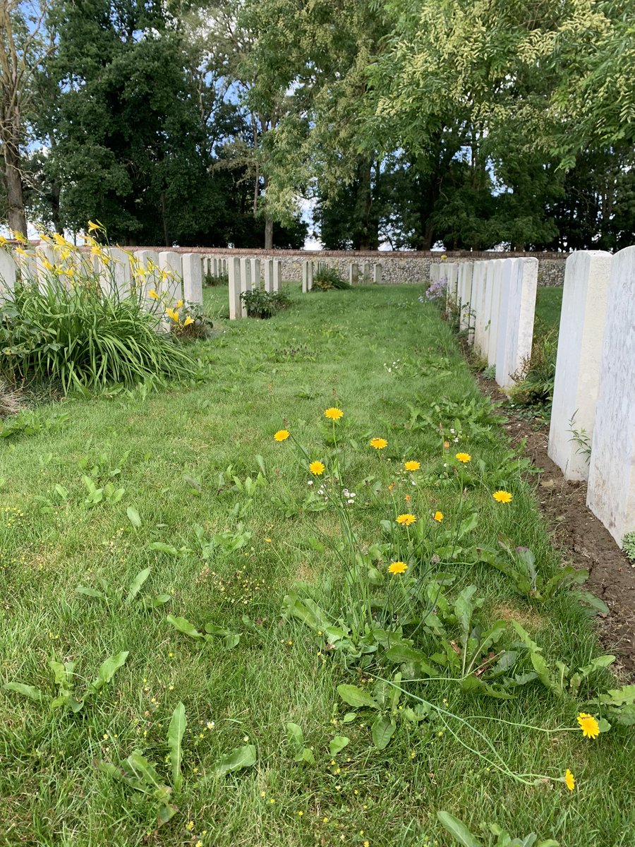 Jeremy Banning tweet media