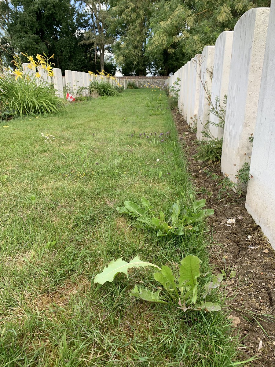 Jeremy Banning tweet media