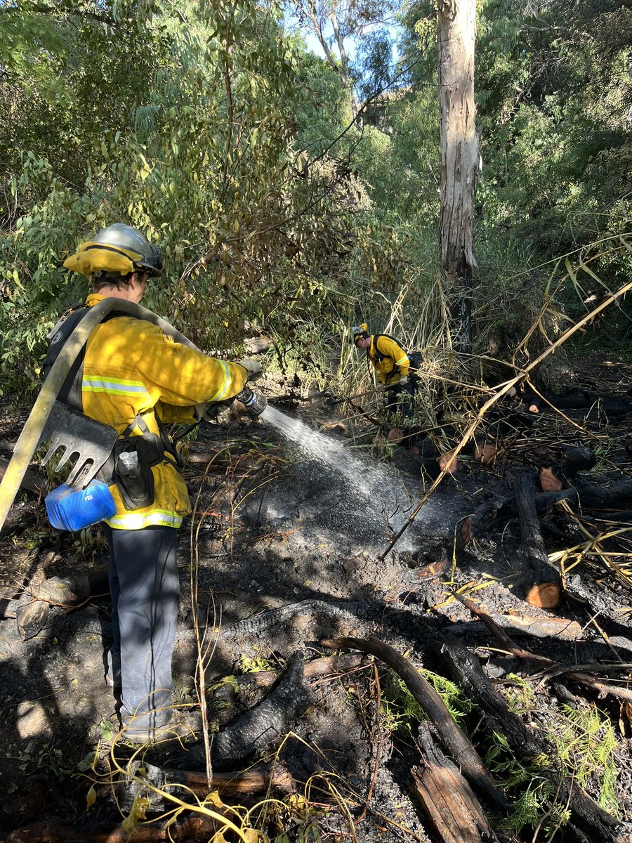 sccfirefighters's tweet photo. This morning your #sccfirefighters responded to a veg fire at Vasona County Park. Fire companies including the #VasonaCrew were able to quickly contain the fire to less than 1/4 acre.
@SCCParks
@sccfiredept
@TownLG
@SCCFireSafe
@SCCgov
#wildfire
#local1165 https://t.co/dHzGp07HnZ