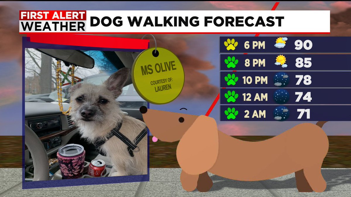 MetJannaBrown's tweet photo. Sunny &amp; hot out there today... a reminder how intensely hot the sidewalk and street can get-avoid walking pups in the late afternoon &amp; early evening... wait until closer to sunset. #mawx #7secondrule https://t.co/OMHv7Nhk5n