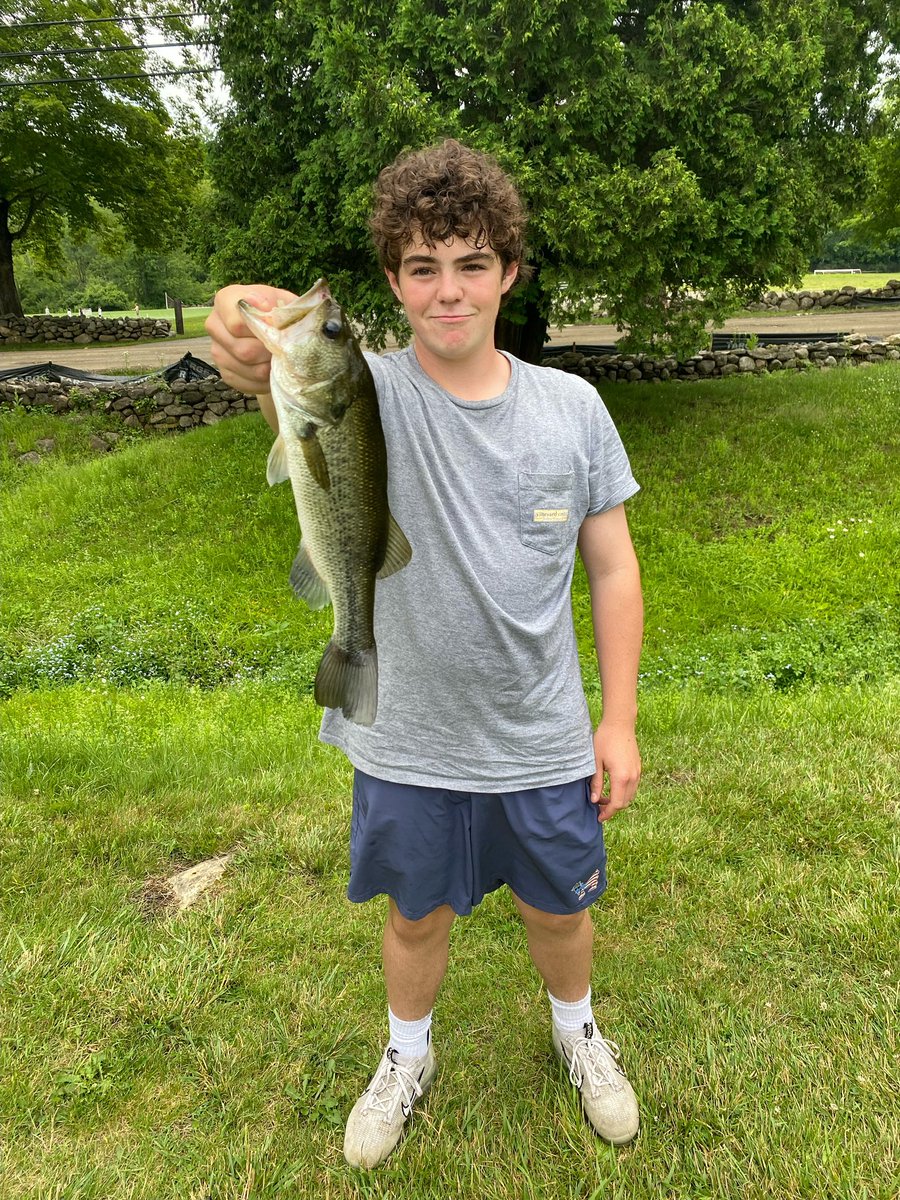 Benchmark Hockey tweet media