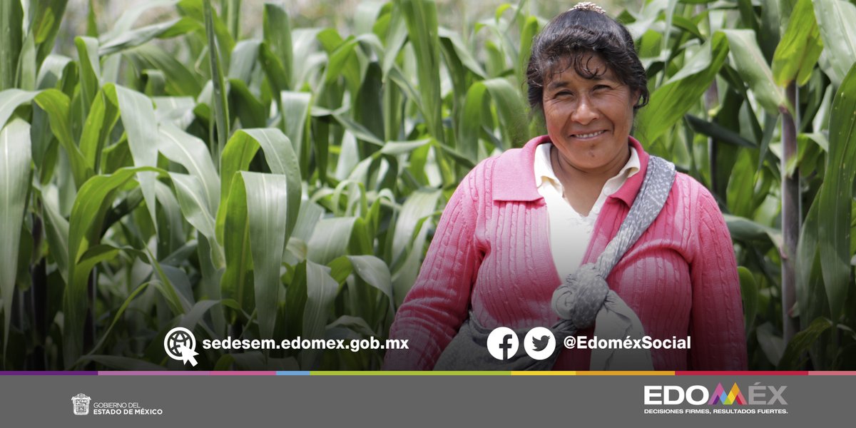BienestarEdoMx's tweet photo. En SEDESEM nos encargamos de coordinar los programas y acciones de combate a la pobreza que se ejecuten en el Estado de México. https://t.co/878QOHcbhf