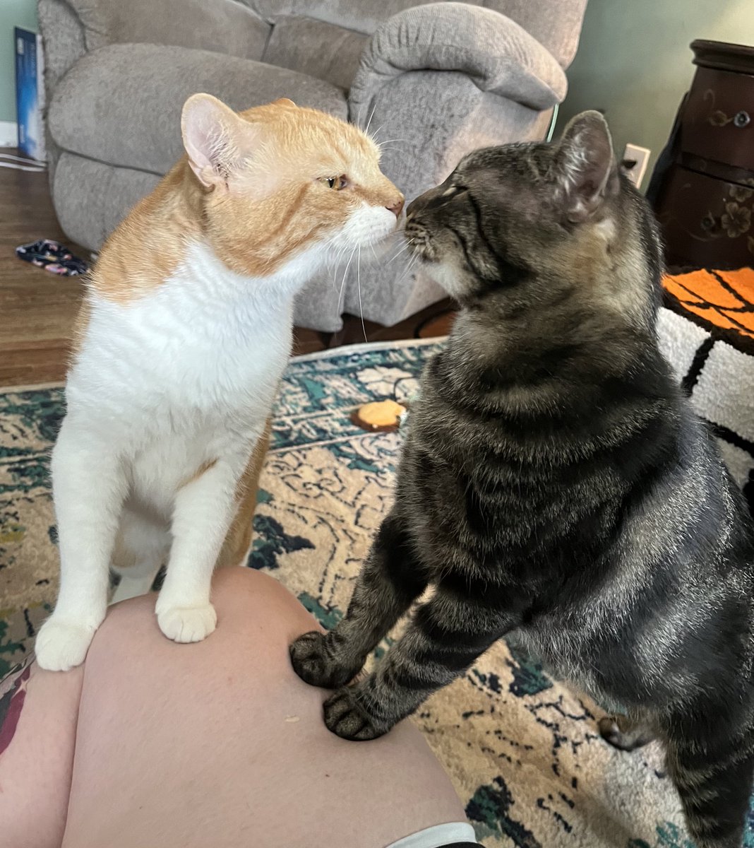 just a little kiss kiss