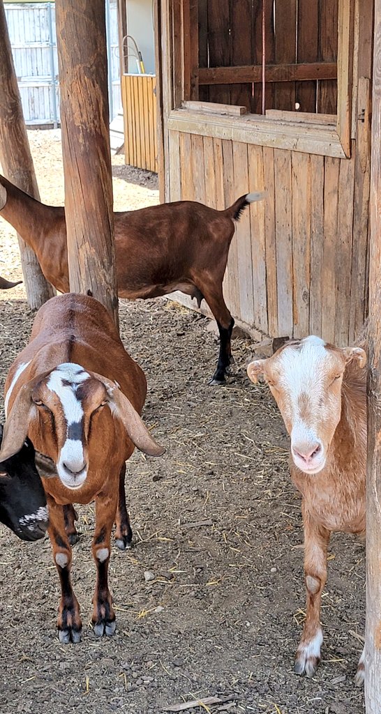 Vanguard High School tweet media