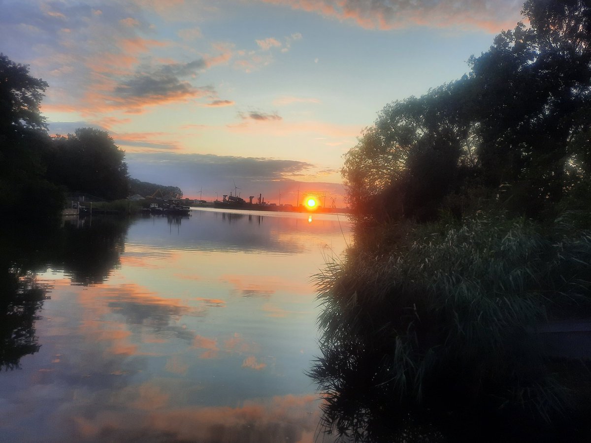 jan balk tweet media