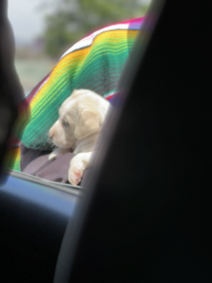 PSA: Do not accidentally miss your exit and end up in another country without your passport. #anxiety