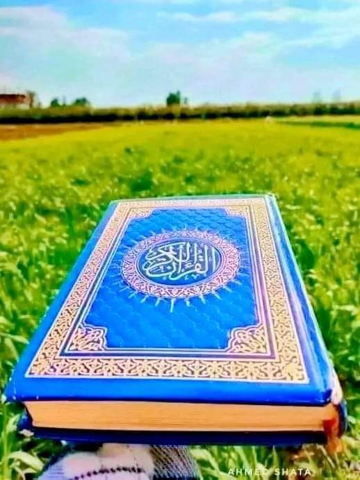 Mj_Hazarvi3's tweet photo. #Quran_is_our_soul
#islamic_knowledgee
#islamic_picture
#Islam
#bestphotochallenge
#BestPhotographyChallengeio
#picturechallenge
#photo
#challenge
#photographychallenge
#picture
#picoftheday
#photographer
#photoshoot
#photochallenge
@Mj_qazi3 @mq_azi3 @am_qazi5 https://t.co/OAIN3t3dod