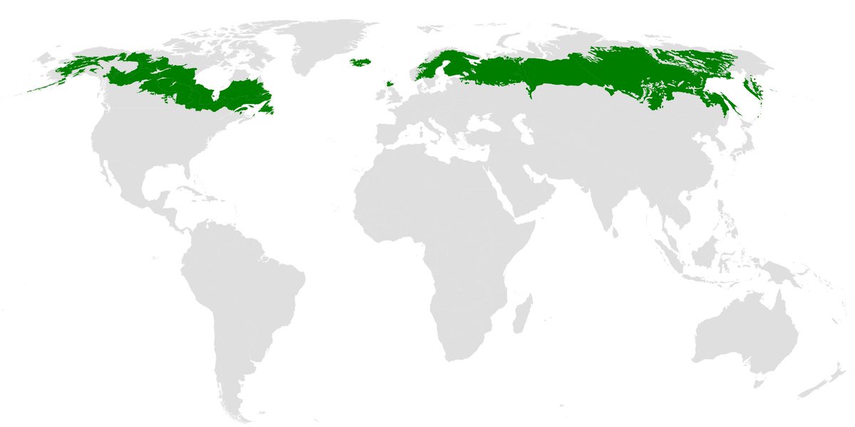 “This green area is the Boreal Forest. It is either burning, eaten by beetles enjoying warm temps, or sinking in the quicksand of melting permafrost. This and the Amazon were the last big forests where at least some of our emissions could be absorbed. We’re done here” #Ecology