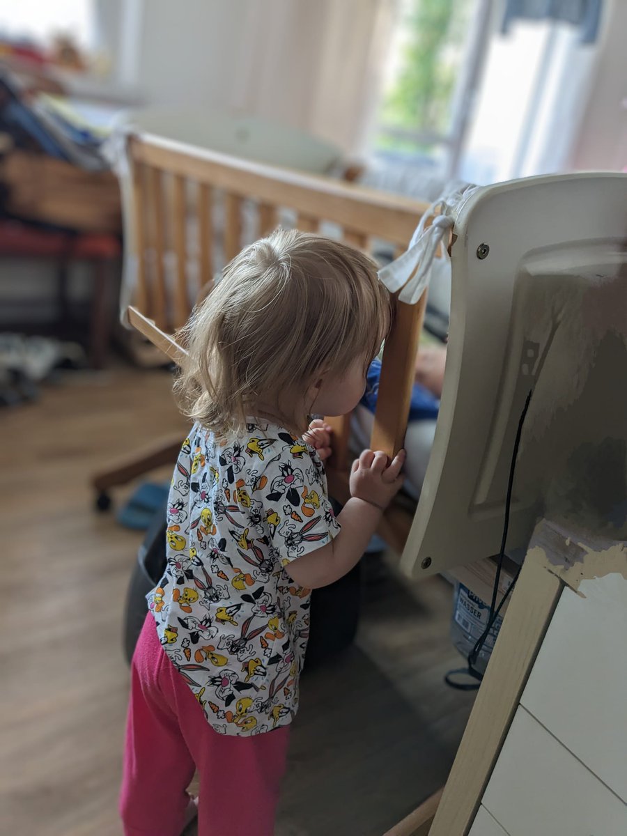 Robusto11's tweet image. Neugierde, schauen und lieben. Willkommen Saru Louis.