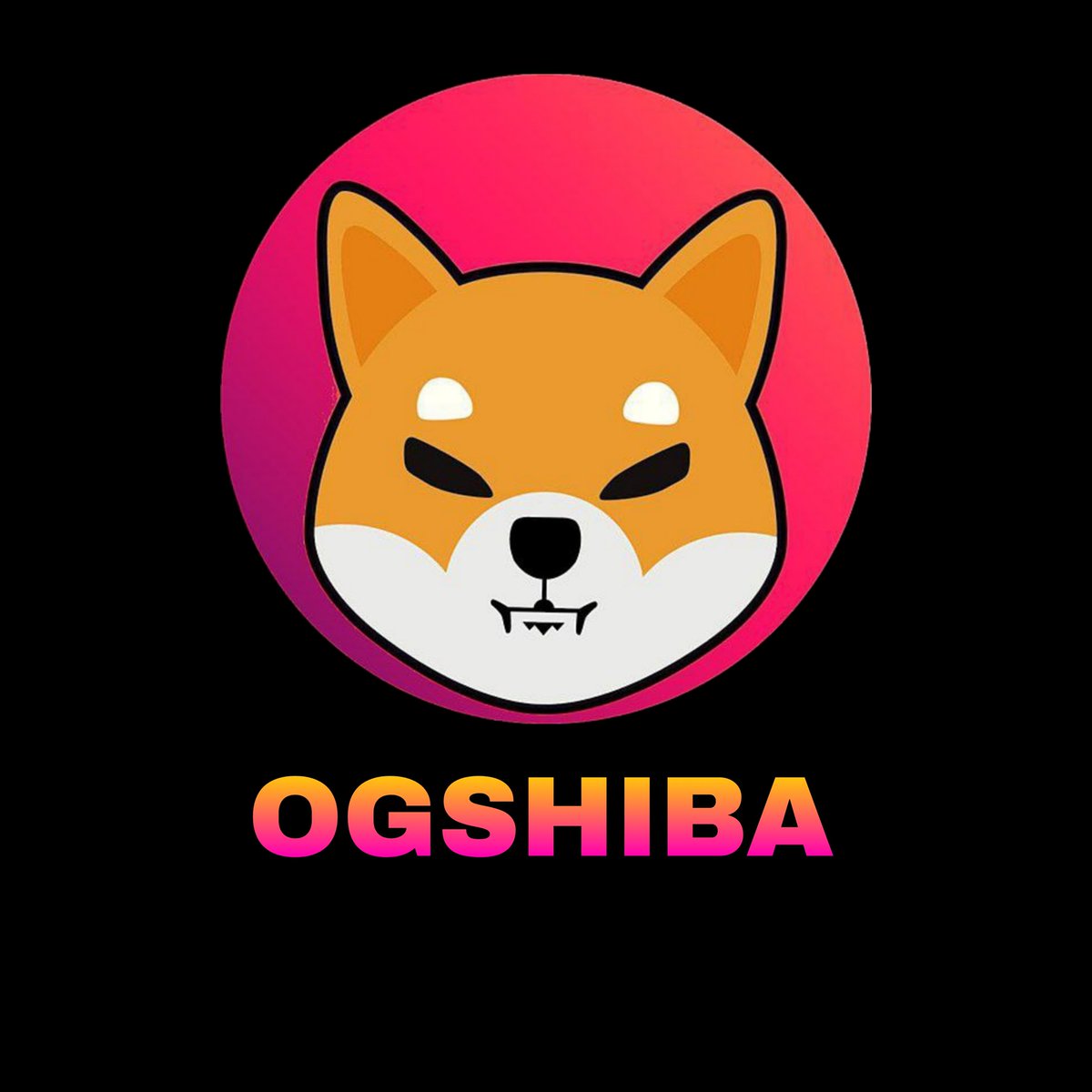 $OGSHIBA tweet media