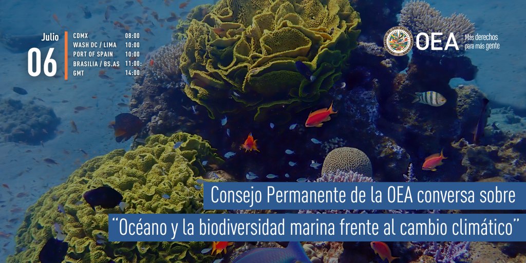 HOY | Consejo Permanente de la OEA conversa sobre “Océano y la biodiversidad marina frente al cambio climático”

📅 Jueves 6 de julio
⏰ 10:00 EDT (14:00 GMT)
📍 Salón Simón Bolívar, OEA
ℹ️ bit.ly/46EjVLm
