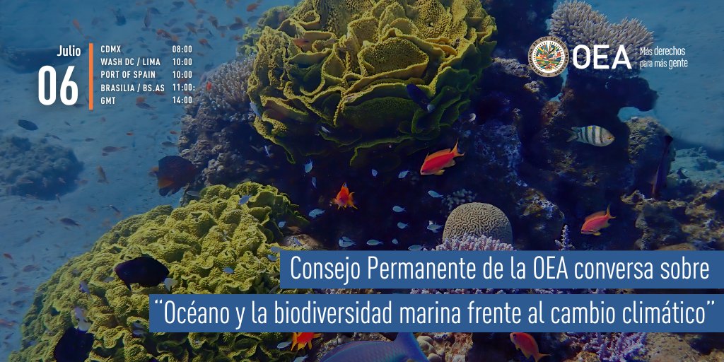 HOY | Consejo Permanente de la OEA conversa sobre “Océano y la biodiversidad marina frente al cambio climático” 📅 Jueves 6 de julio ⏰ 10:00 EDT (14:00 GMT) 📍 Salón Simón Bolívar, OEA ℹ️ bit.ly/46EjVLm