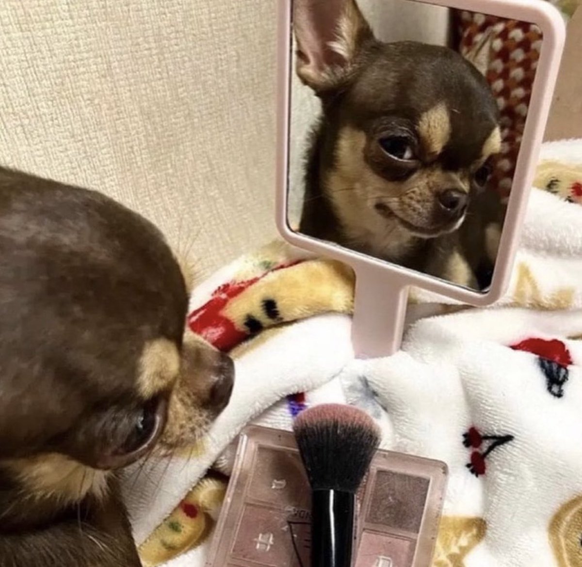 itsnotjazminn's tweet photo. me after crying all day https://t.co/zXGzVHeC2E