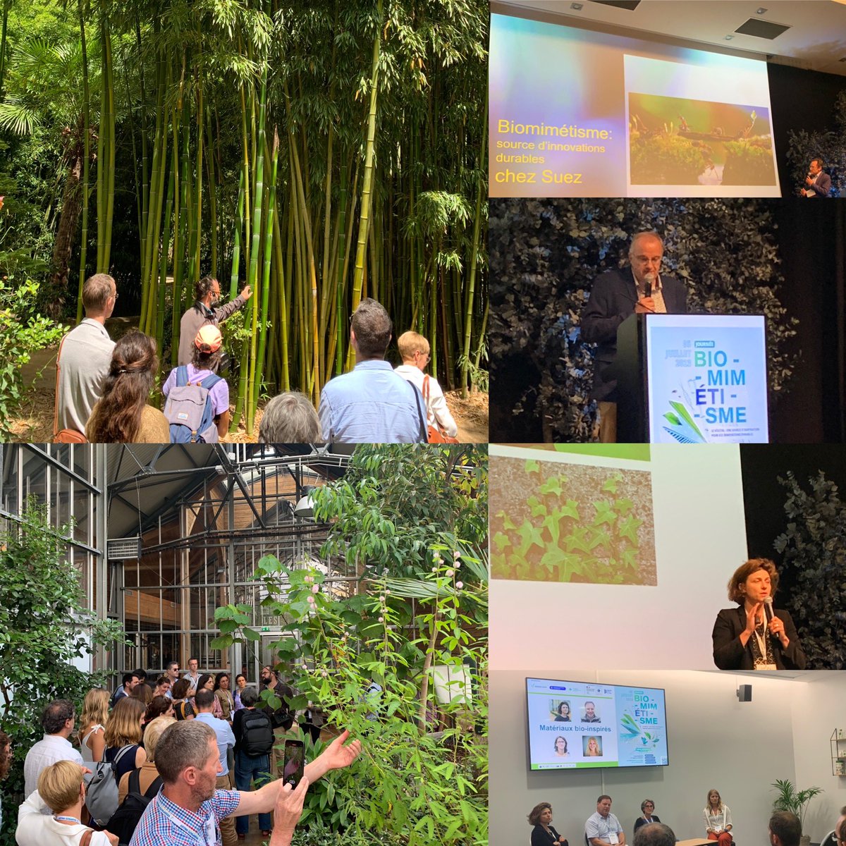 Journée #biomimetisme co-organisée <a href="/VEGEPOLYSVALLEY/">VEGEPOLYS VALLEY</a> @CCI49 <a href="/ceebios/">Ceebios</a> à <a href="/terrabotanica/">Parc Terra Botanica</a> en partenariat avec <a href="/ademe/">ADEME</a> <a href="/paysdelaloire/">Pays de la Loire</a> : les super pouvoirs du #vivant pour innover avec #robustesse et #frugalité ! Vivement <a href="/BiomimExpo/">biomim'expo</a> 2024 😉