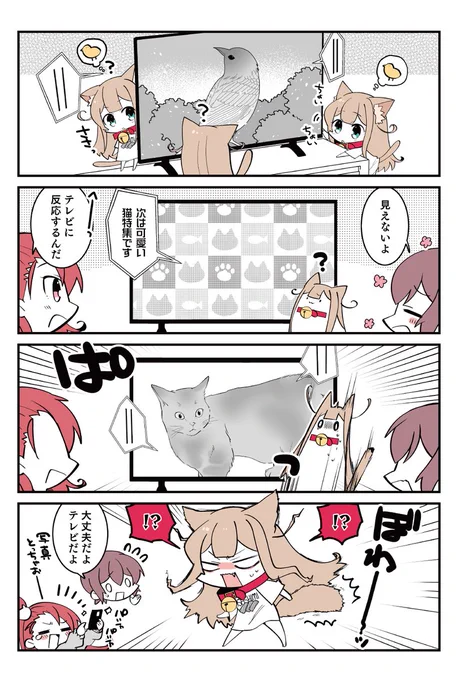小倉さん家のきなこ 🐈20
