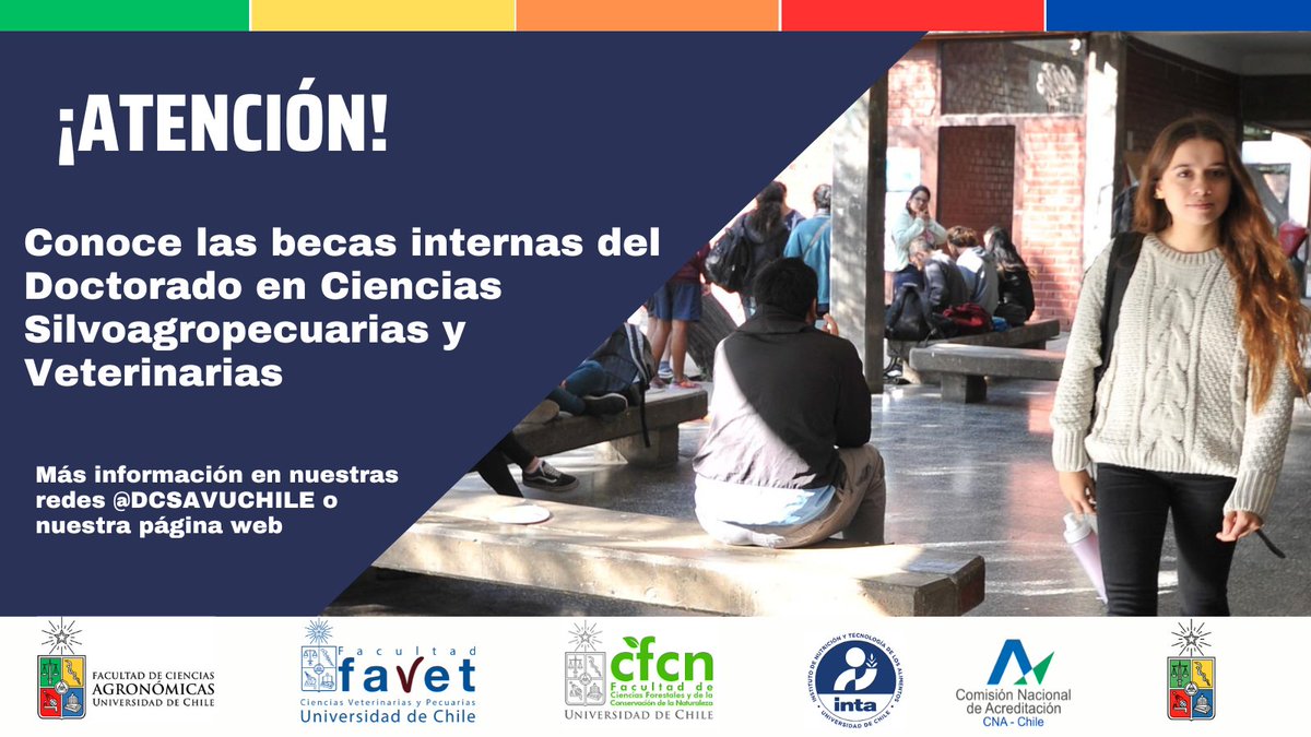 ¿Conoces las becas internas del DCSAV? 🧐
Aquí te contamos un poco de qué tratan y sus beneficios. ¿Quieres saber más o tienes dudas? Visita nuestra página web o contáctanos.
uchile.cl/u191565