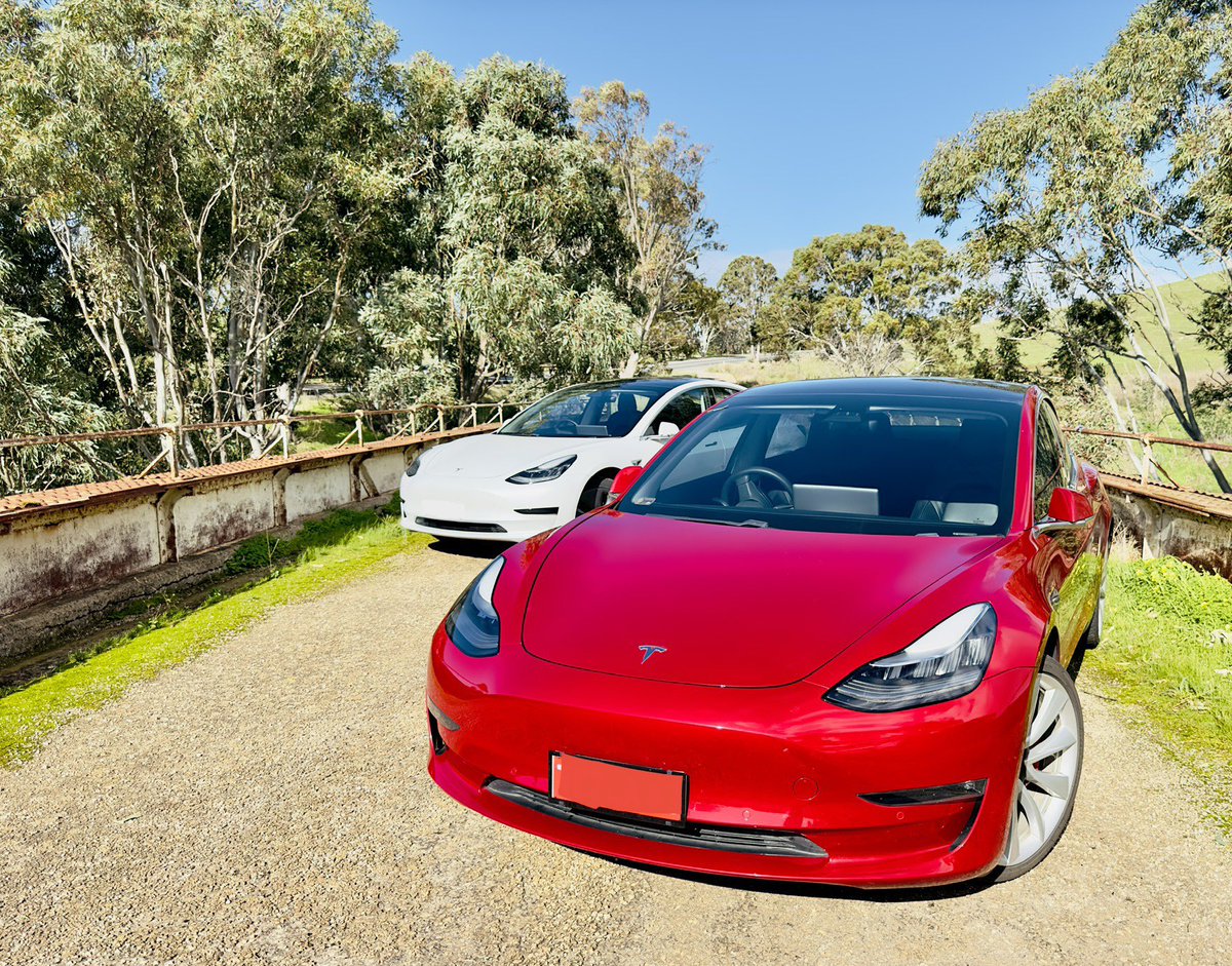 🐶Pablo’s🐕 Shark 🦈 ⚡️🔋🇦🇺 🦘 tweet media