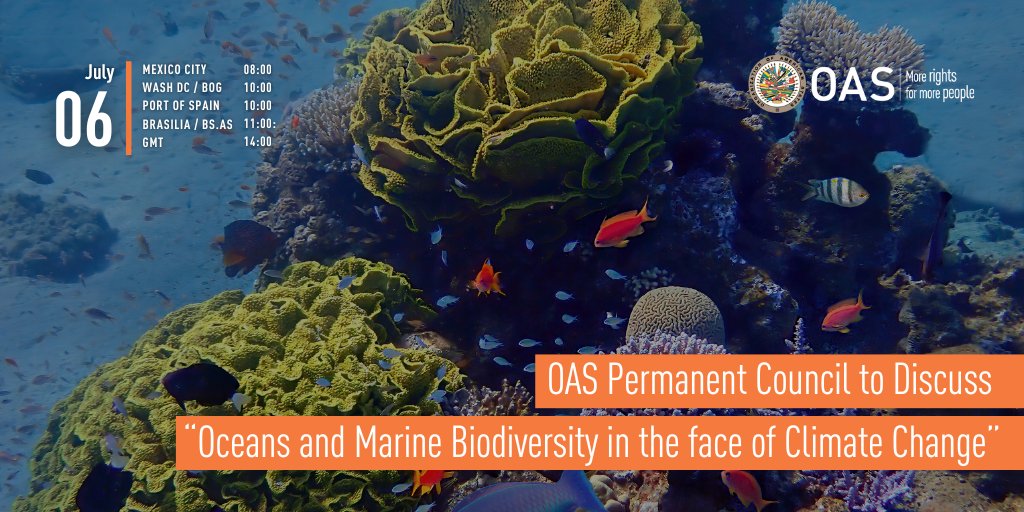 TODAY | #OAS Permanent Council to Discuss “Oceans and Marine Biodiversity in the face of Climate Change” 📅 July 6 ⏰ 10:00 EDT (14:00 GMT) 📍 Simon Bolivar room, OAS ℹ️ bit.ly/3PK5YFB