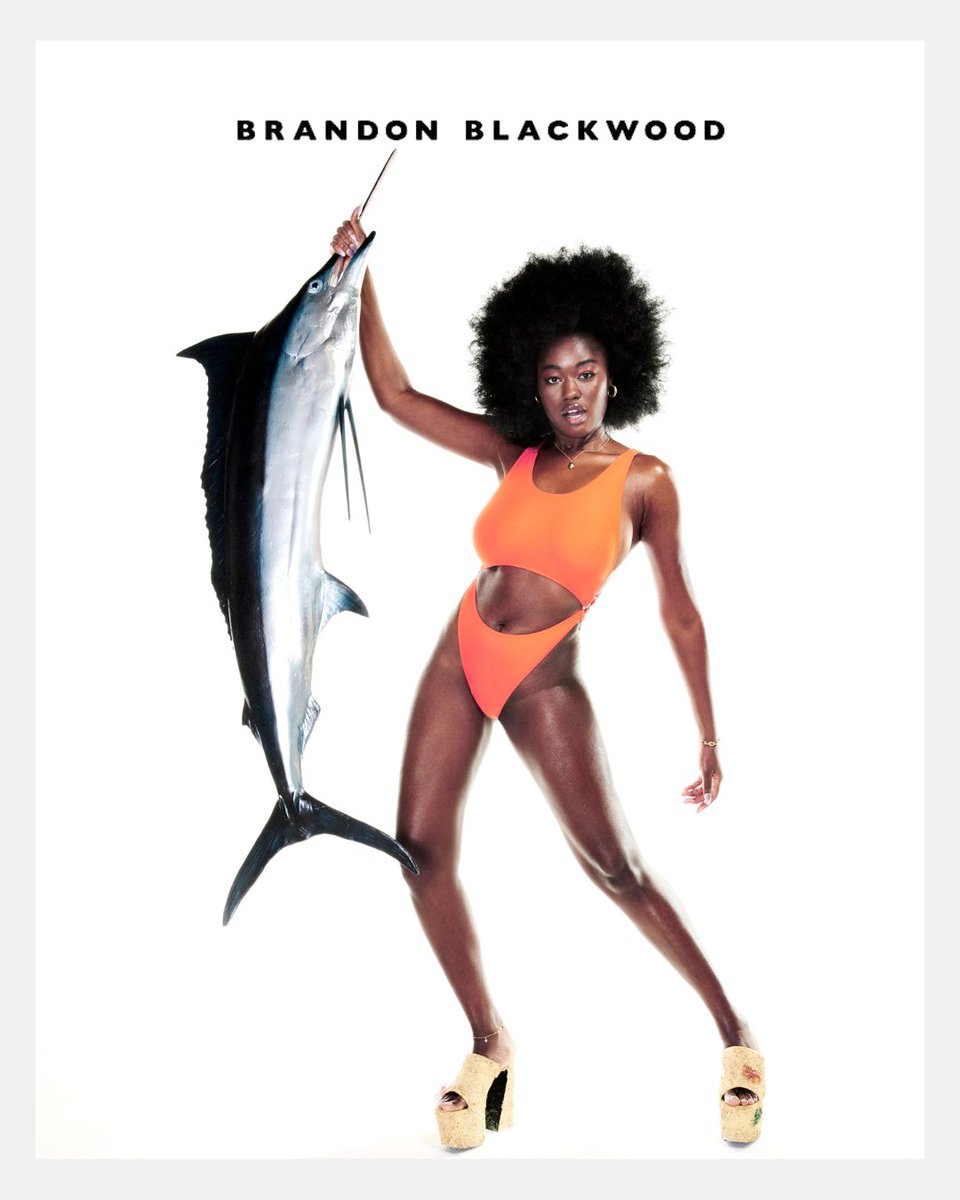 yaniimodels's tweet photo. KAISSA KOMARA for Brandon Blackwood Swim 2023 Campaign 

- @ass_iak 

Designer @BBlackwoodNYC  
Photographer Mescondi 
Fashion Editor/Stylist Roberto Johnson 
Hair Stylist Akihisa Yamaguchi 
Makeup Artist @ayaminishimura 

#yaniimodels #kaissakomara #brandonblackwood https://t.co/rhn2HkyBVi