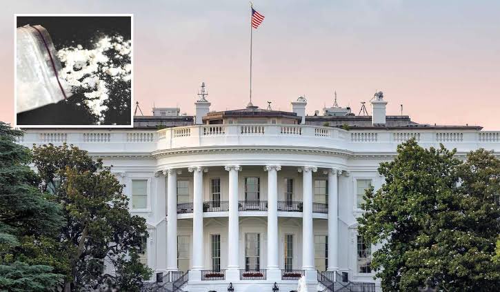 NEW 🚨 White House cocaine culprit unlikely to be found: Law enforcement official - Politico