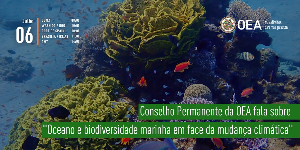 HOJE | Conselho Permanente da #OEA fala sobre 'Oceano e biodiversidade marinha em face da mudança climática' 📅 6 de julho ⏰ 10:00 EDT (14:00 GMT) 📍 Salão Simón Bolívar, OEA ℹ️ bit.ly/43bCy6v