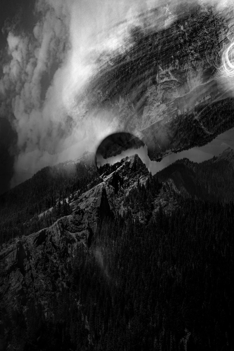 Nature in B&amp;W