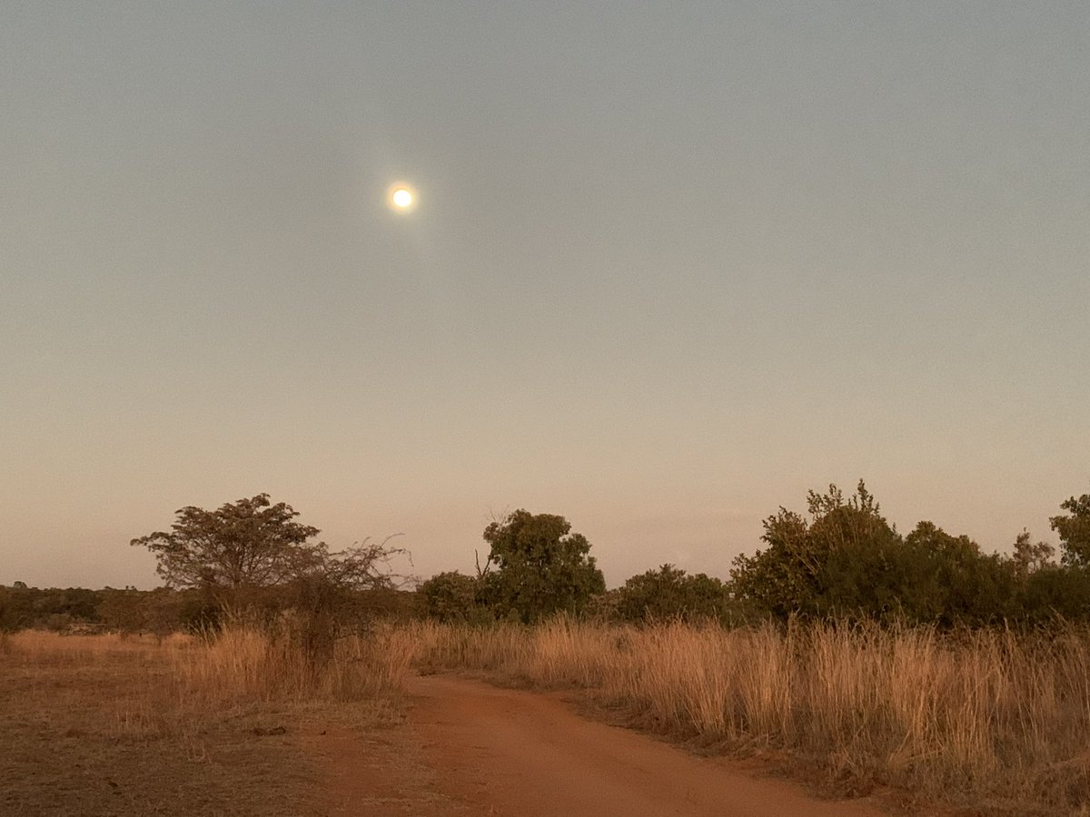 Renee Chmiel tweet media