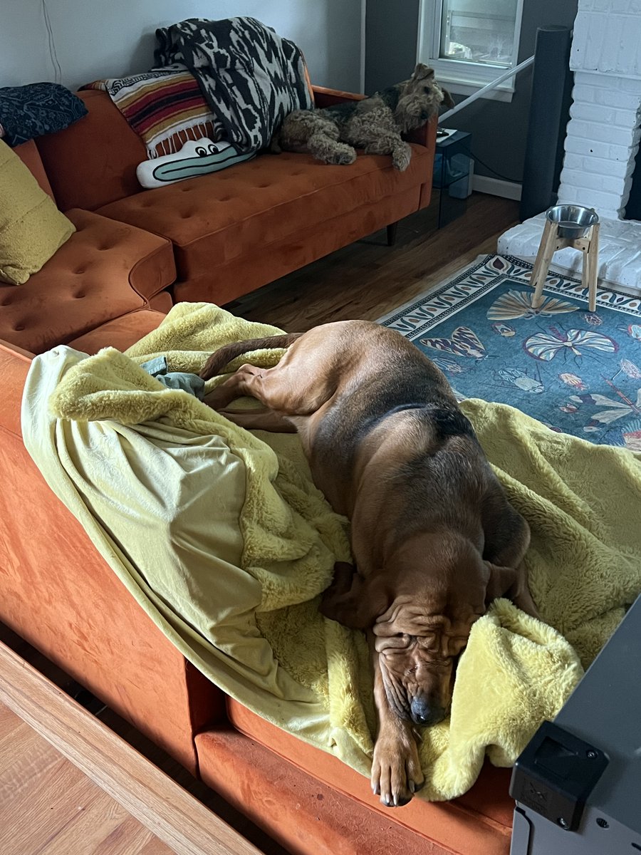 Rodney Rice tweet media