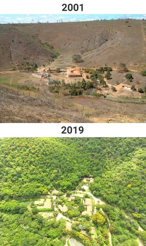 A couple decided to rebuild their deserted piece of land of 600 hectares in Brazil. They planted more than 2 million tree saplings. the site has 293 plant species, 172 bird species and 33 animal species, some of which were on the verge of extinction. Picture taken in 2001 vs 2019