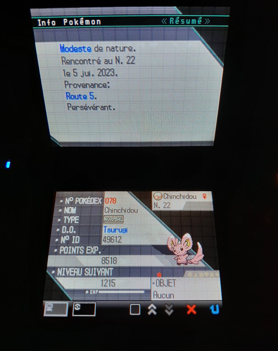 🌟 Minccino 🌟
25 928 rencontres 

Très contente de ce chinchidou 😊
2ème shasse de NRT terminé ! 
C'est aussi mon 50ème shiny et mon plus gros chiffres que j'ai pus faire 🎉