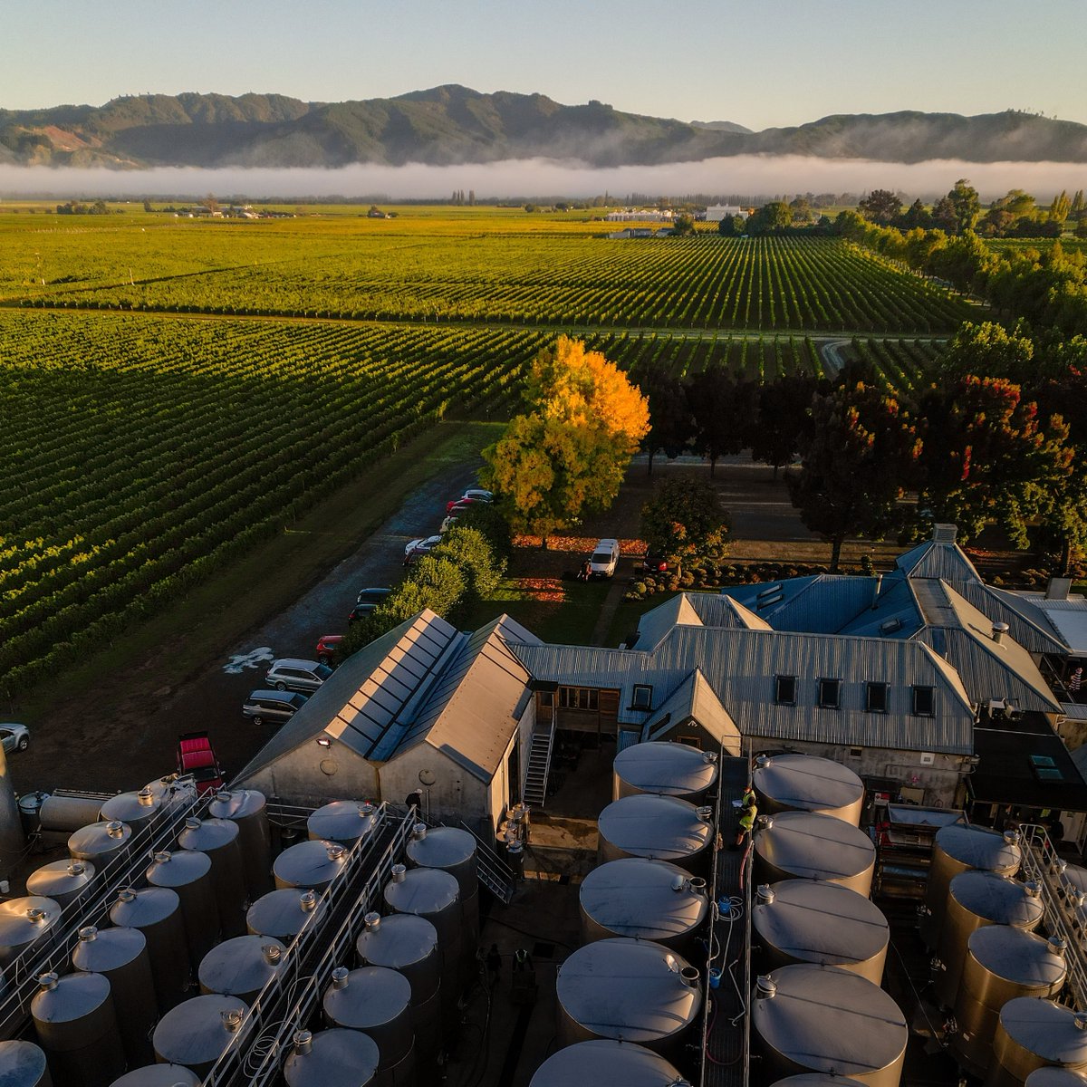 We hope you enjoy this bird's eye view of our Headquarters in Marlborough. We think its a spectacular sight, especially those magical views across the vineyard. Have a beautiful day.
allanscott.com