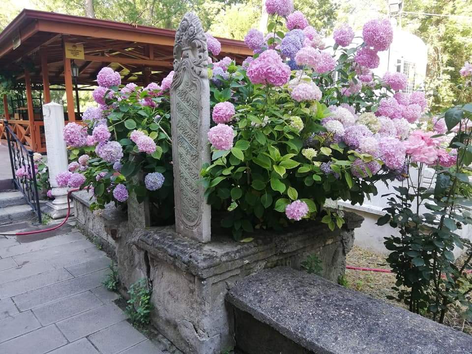 Samsun da ruhum nefes almek istediğinde....