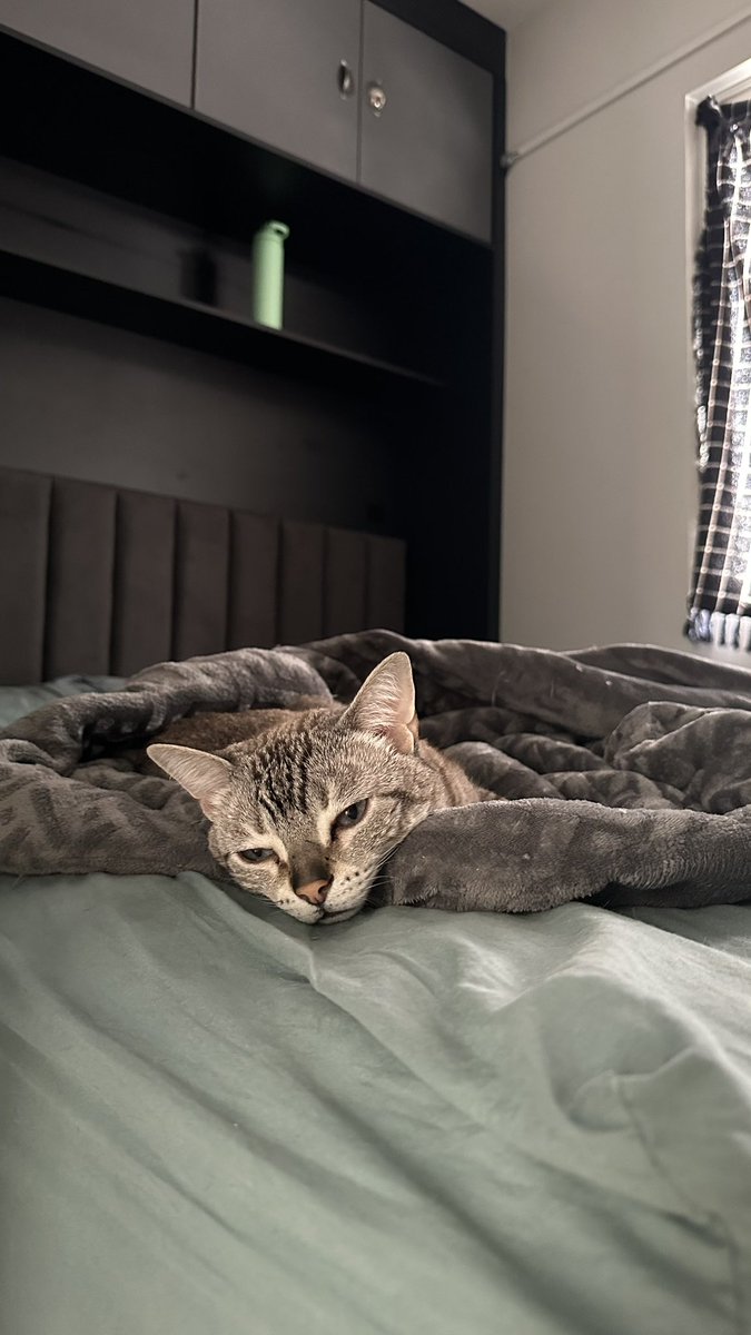 quarta-feira ainda