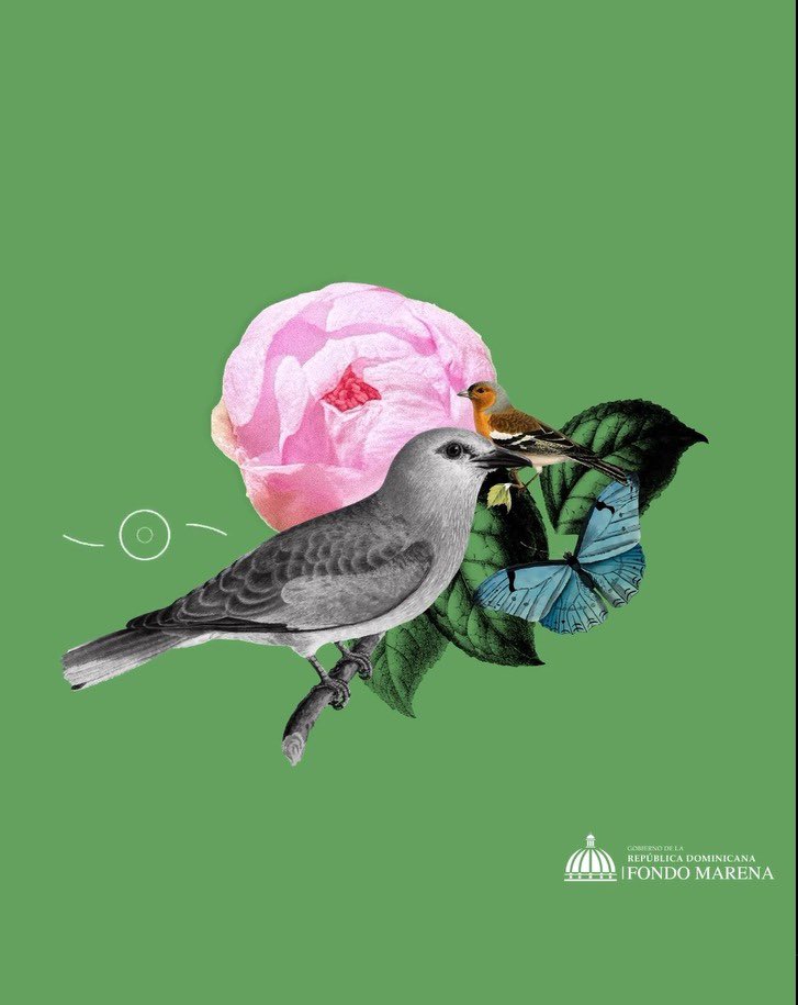 fondomarena's tweet photo. “Juntos, estamos redefiniendo los límites de la sostenibilidad y construyendo un futuro más brillante” 🙌🌳✨ - Judith Valdez, Directora del Fondo Nacional para el Medio Ambiente y Recursos Naturales (Fondo MARENA).
Síguenos para ver nuestra nueva transformación. 💚

#FondoMarena https://t.co/JCBectJksT