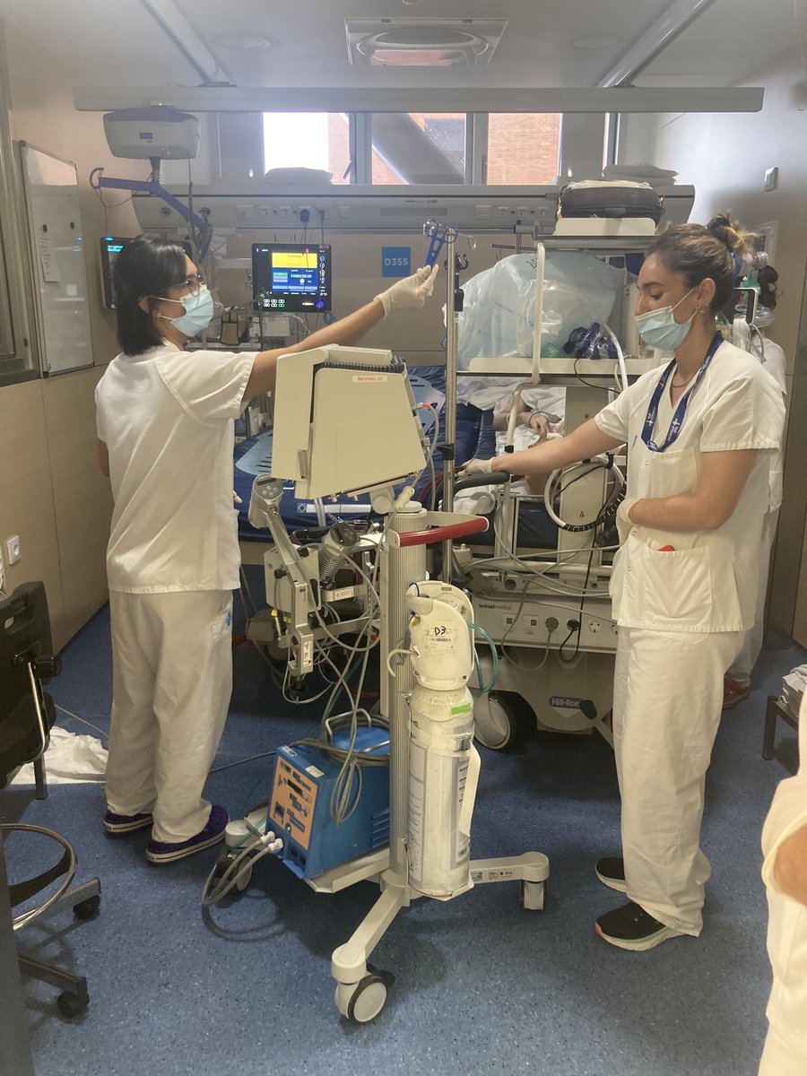 Sofia Contreras tweet media