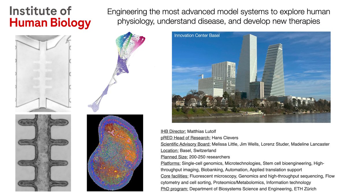 Gray Camp (@graycamplab) on Twitter photo Exciting times at <a href="/IHB_Research/">Institute of Human Biology</a>! A new PhD program with <a href="/ETH_BSSE/">D-BSSE, ETH Zurich</a> -> next-gen-bioengineers.ethz.ch/doctorate.html. A search for new group leaders (early career) -> institutehumanbiology.com/about-the-ihb/…. It is a very interesting intersection at the moment: Exploration, Engineering, Translation! #Organoids #Basel Exciting times at <a href="/IHB_Research/">Institute of Human Biology</a>! A new PhD program with <a href="/ETH_BSSE/">D-BSSE, ETH Zurich</a> -> next-gen-bioengineers.ethz.ch/doctorate.html. A search for new group leaders (early career) -> institutehumanbiology.com/about-the-ihb/…. It is a very interesting intersection at the moment: Exploration, Engineering, Translation! #Organoids #Basel