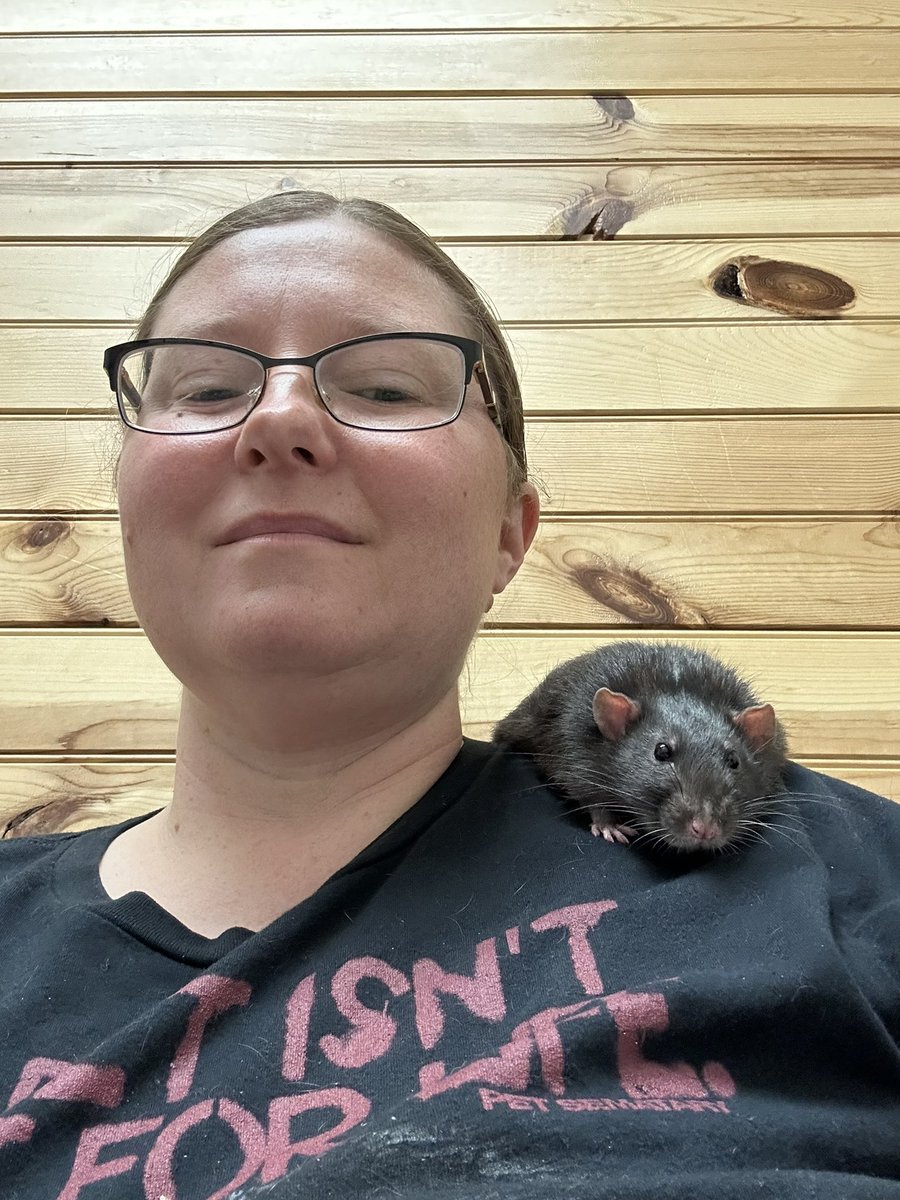 barbashound's tweet photo. @Miriampearl83 Kovu is asleep in the carrier. Nuka has been like a pancake on my shoulder. Hehehe. I think he will be ok, he has improved since Sunday ❤️❤️❤️ Thank you Miri https://t.co/oJJuBpM8Fb