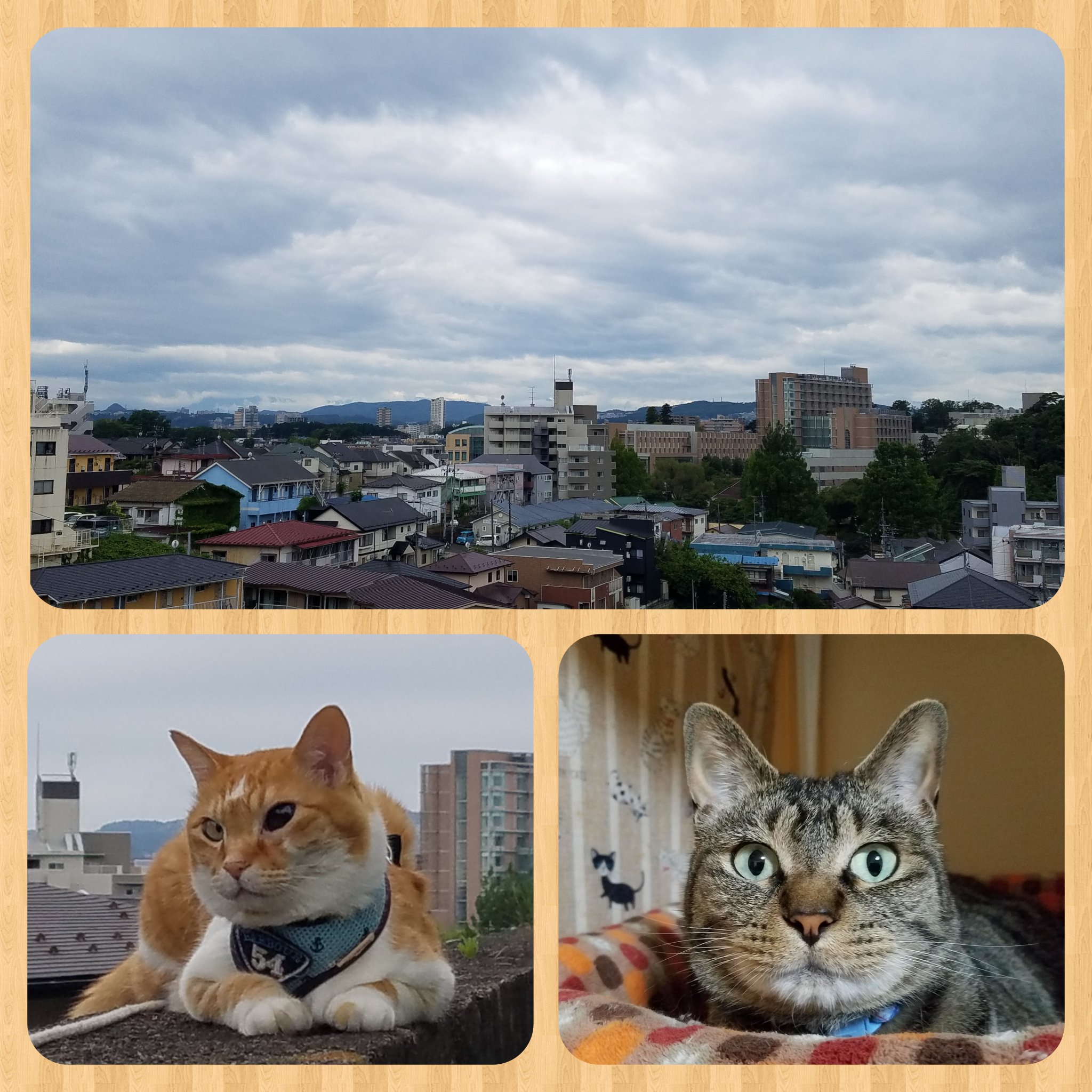 なぜ糖尿病患者は口が渇くのでしょうか?