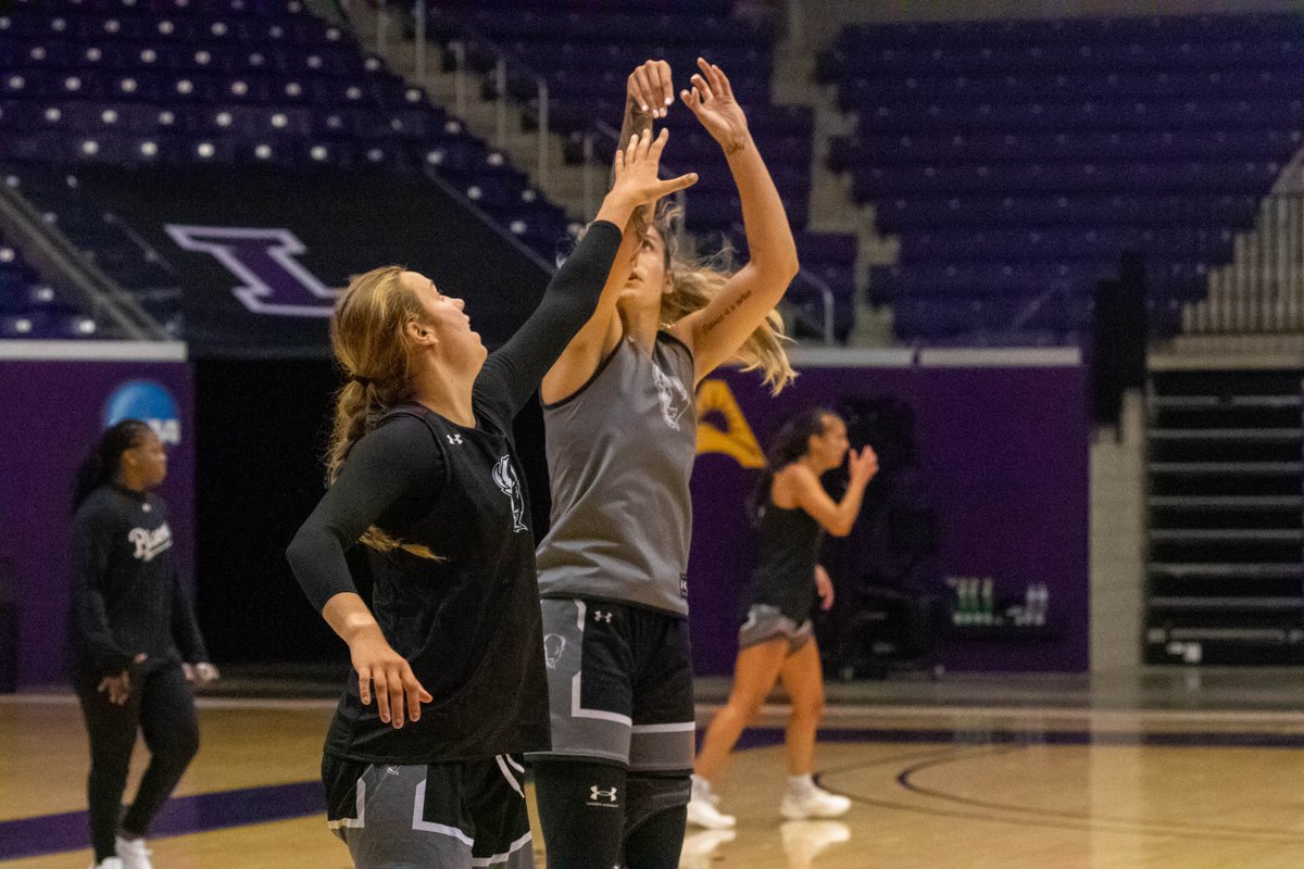 LipscombWBB's tweet photo. Back to work

#IntoTheStorm ⛈️| #HornsUp 🤘 https://t.co/PZWLjCrc2X